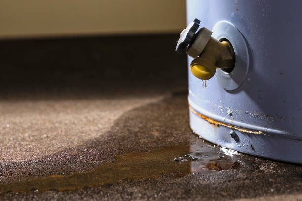 Best Basement water damage restoration  in Port Hadlock Irondale, WA