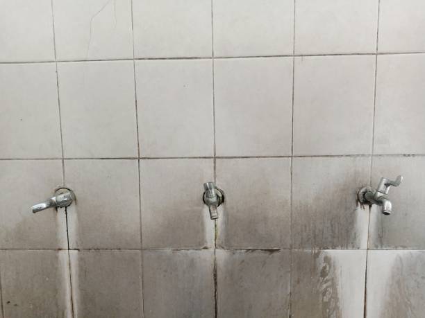 Best Water damage restoration specialists  in Port Hadlock Irondale, WA