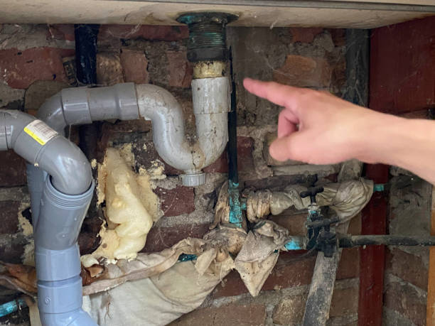 Best Water damage contractors near me  in Port Hadlock Irondale, WA